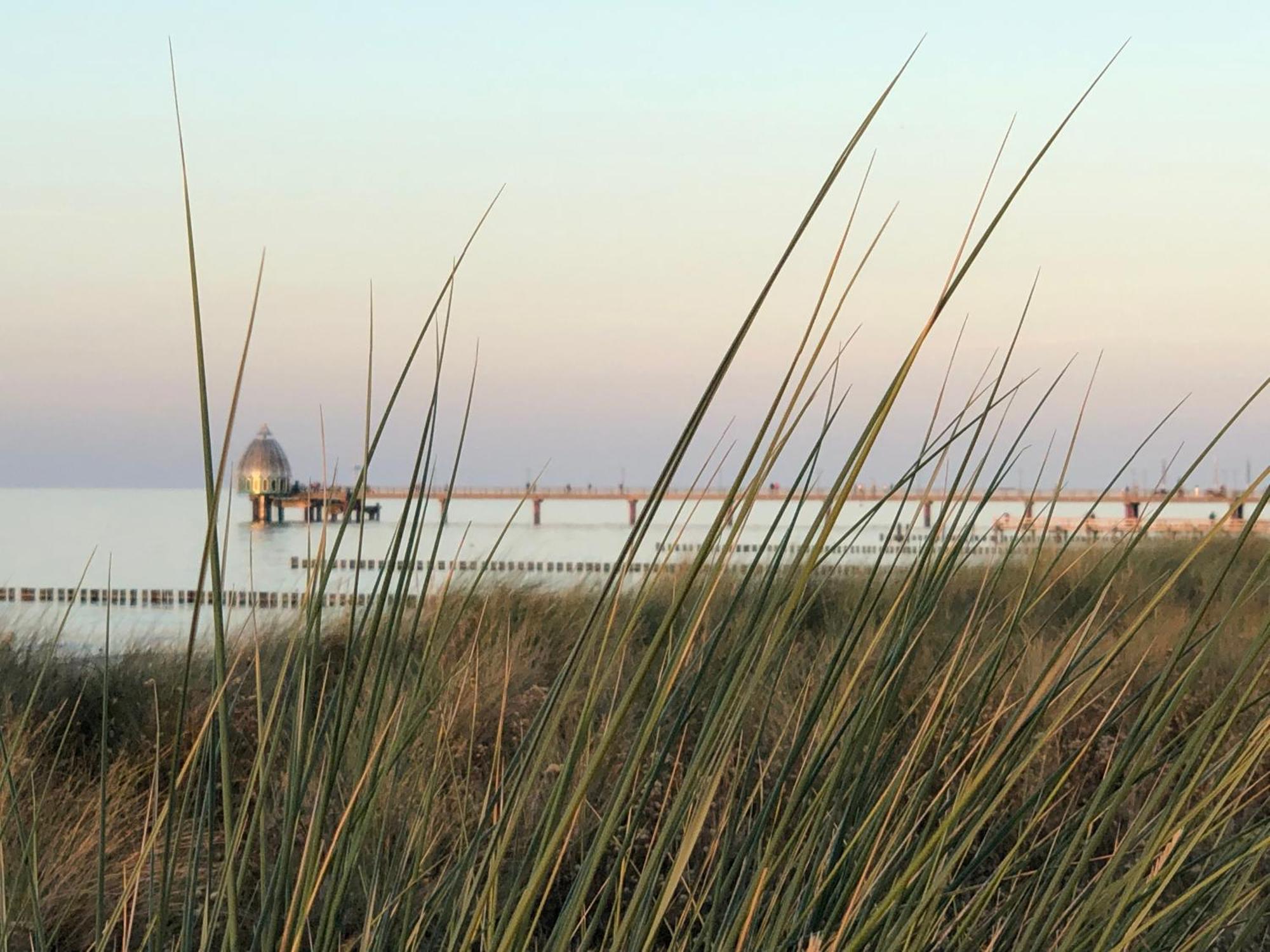 Ferienhaus Strandoase Zingst Bagian luar foto